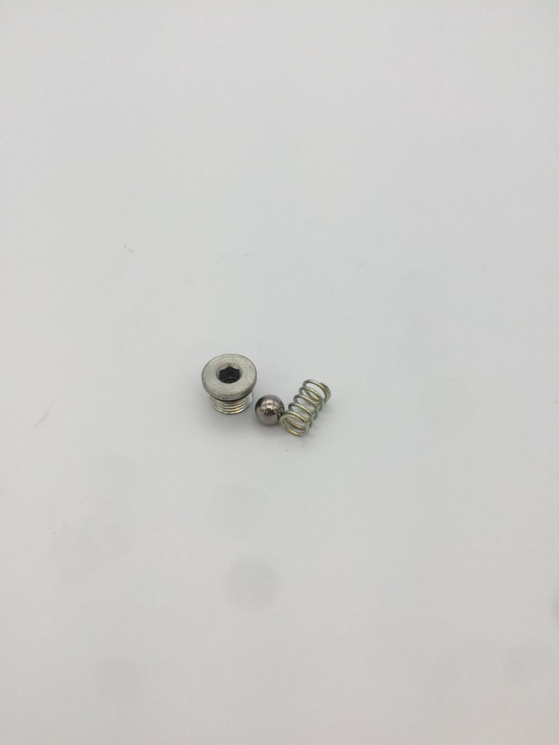 411616 - Pilot Check Valve