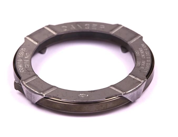 490179 Rewind Starter Spring