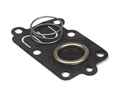 5021k - Diaphragm Kit