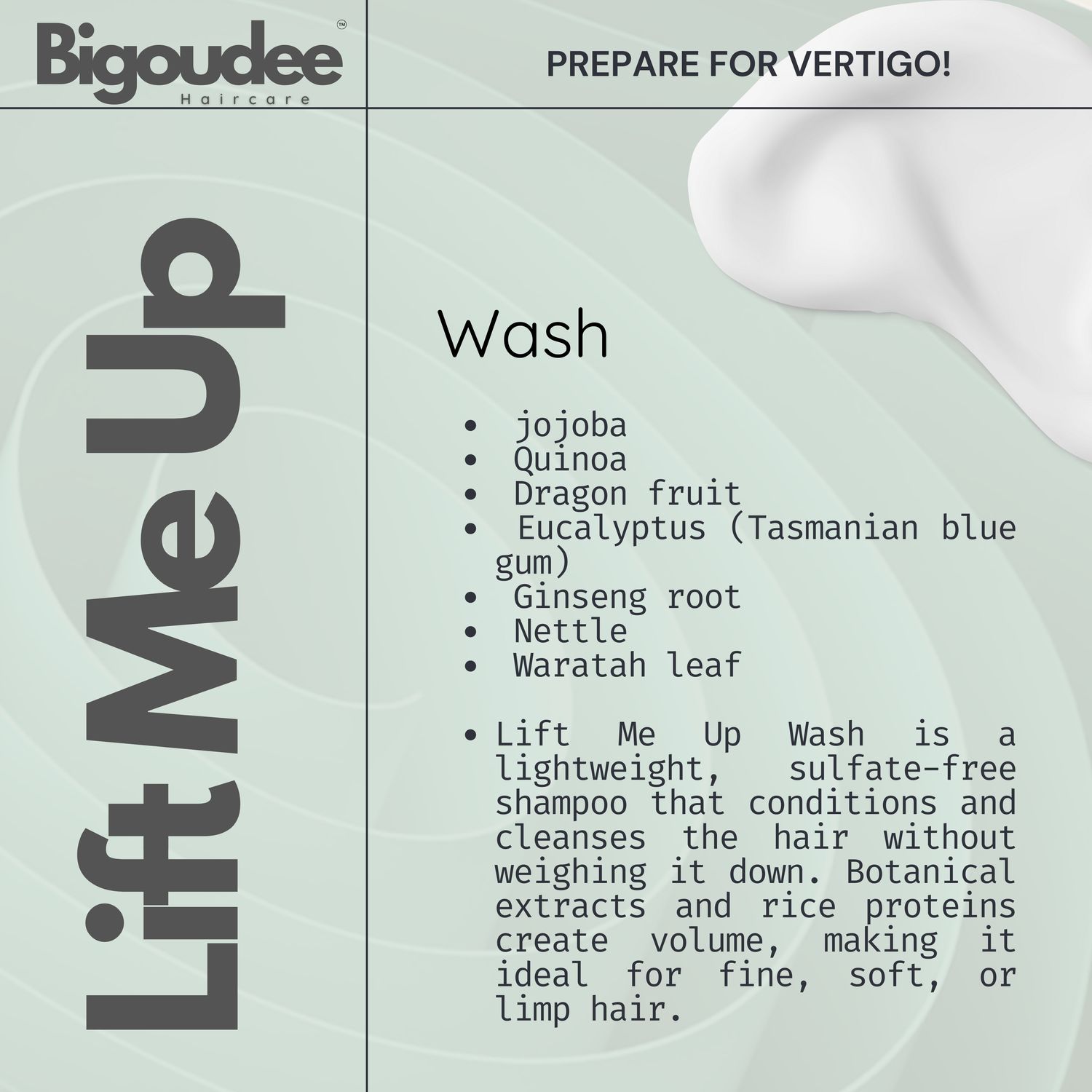 Bigoudee Lift Me Up Shampoo 250ml