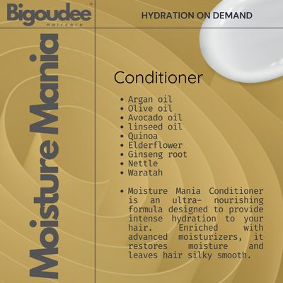 Bigoudee Moisture Mania Conditioner 250ml
