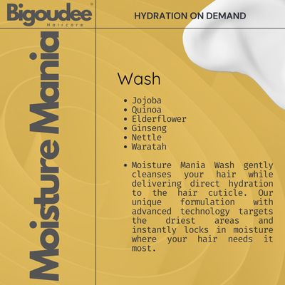 Bigoudee Moisture Mania Shampoo 250ml