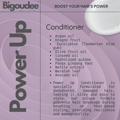 Bigoudee Power Up Conditioner 250ml