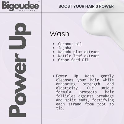 Bigoudee Power Up Shampoo 250ml