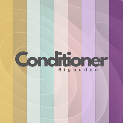 Conditioner