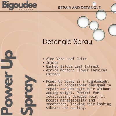Bigoudee Power Up Styling Spray 125ml Bigoudee Power Up Styling Spray 125ml