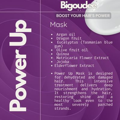 Bigoudee Power Up Mask 250ml