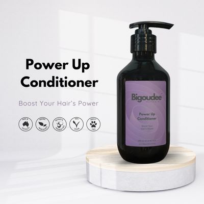 Bigoudee Power Up Conditioner 250ml