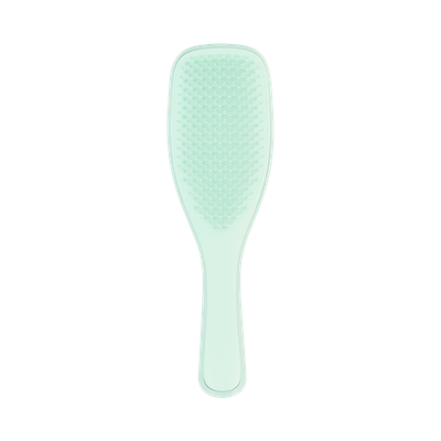 Tangle Teezer Detangling Hairbrush — Fine & Fragile