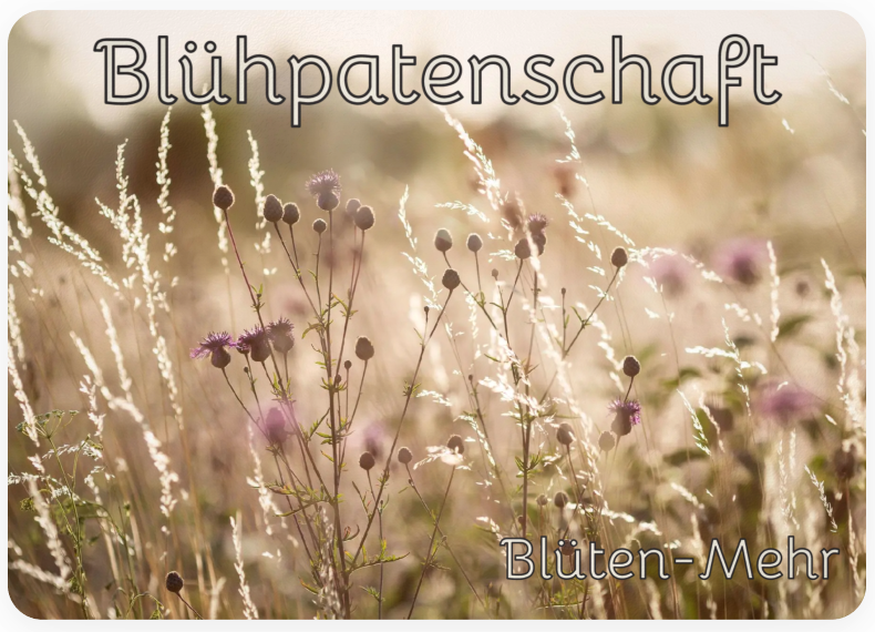 Blütenpatenschaft | 10m²