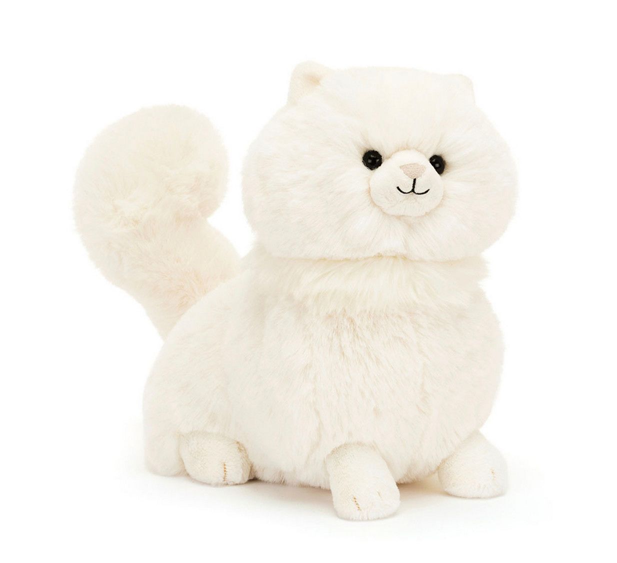 Carissa Persian Cat