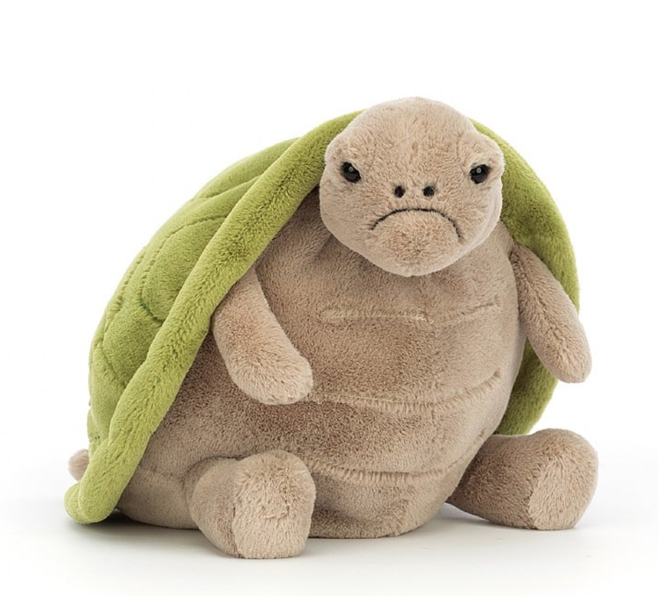 Timmy Turtle