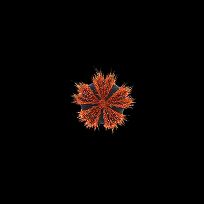 Urchins