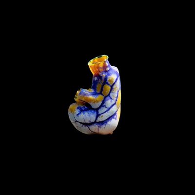 Goldmouth Sea Squirt (Polycarpa Aurata)