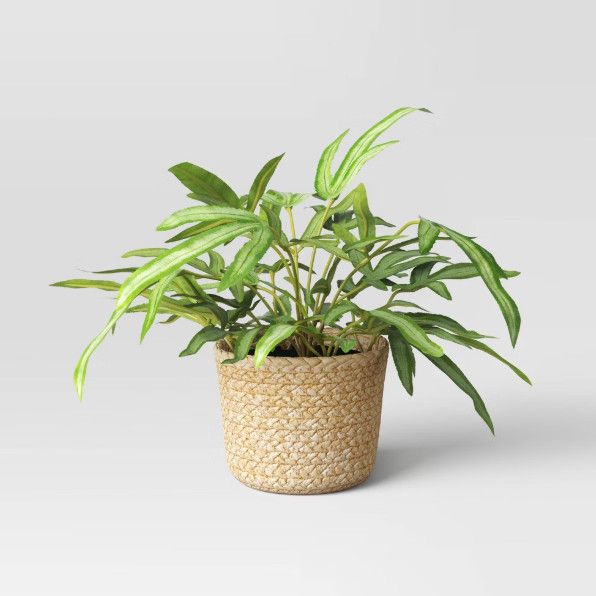 Threshold-Faux Fern