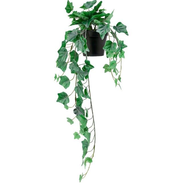 FEJKA Artificial potted plant, indoor/outdoor/hanging Ivy, 12 cm (4 ¾ &quot;)