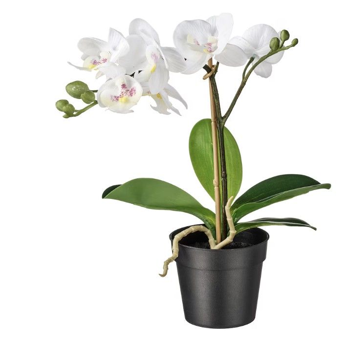 FEJKA Artificial potted plant, Orchid white, 9 cm (3 ½ &quot;)