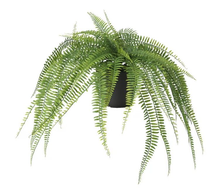 FEJKA Artificial potted plant, indoor/outdoor hanging/fern, 12 cm (4 ¾ &quot;)