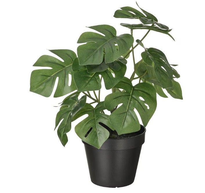 FEJKA Artificial potted plant, indoor/outdoor monstera, 12 cm (4 ¾ &quot;)
