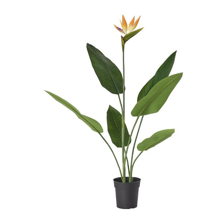 FEJKA Artificial potted plant, indoor/outdoor Bird of paradise, 19 cm (7 ½ &quot;)