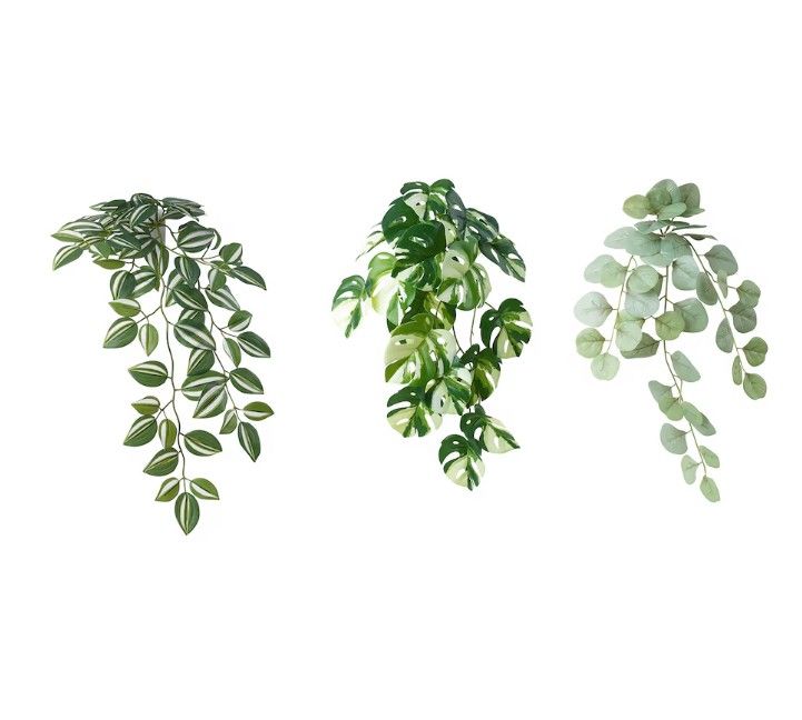 FEJKA Artificial plant with wall holder, indoor/outdoor/green