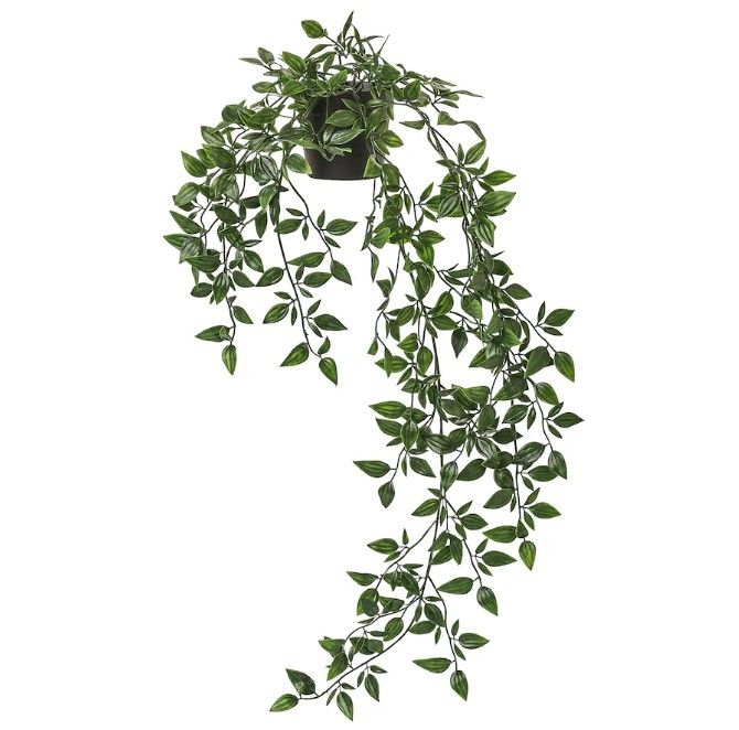 FEJKA Artificial potted plant, indoor/outdoor/hanging, 9 cm (3 ½ &quot;)
