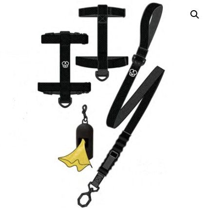South Paw Silicone Dog Walking Set, Size: S/M