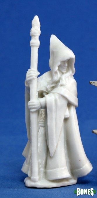 Anirion, Wood Elf Wizard