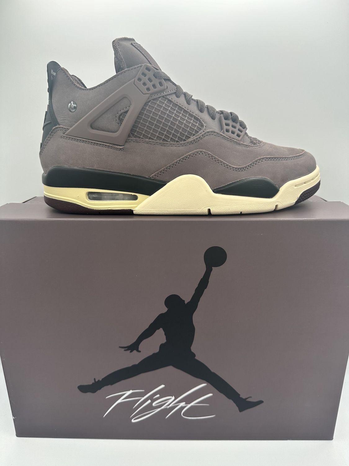 Jordan 4 - A Ma Maniere Violet Ore