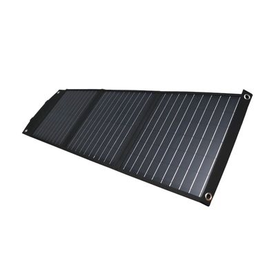 Gizzu 60W Solar Panel