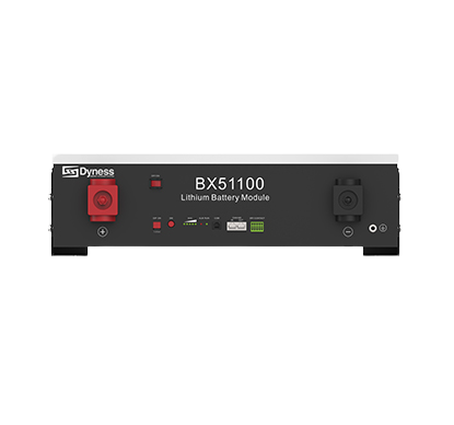 Dyness Battery Lithium Ion 5.12kWh 51.2V 100Ah