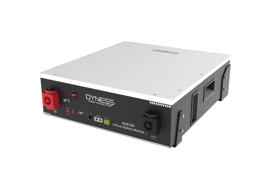 Dyness Battery Lithium Ion 4.8kWh 48V 100Ah