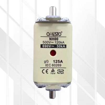 NH00 Blade Fuse 125A