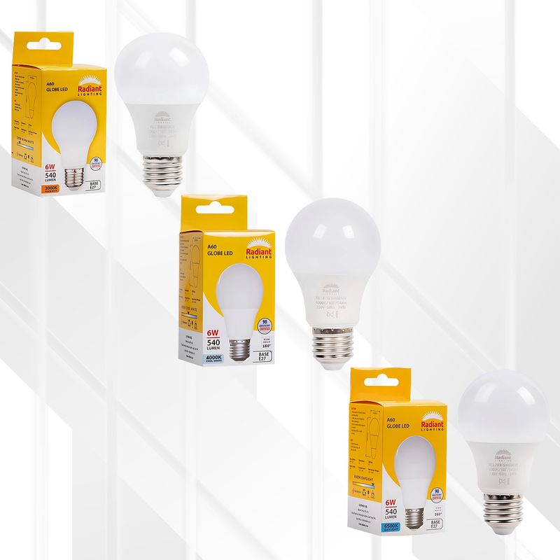 A60 6W Globe LED E27