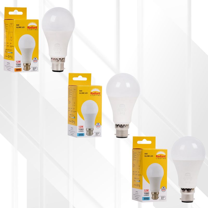 A60 12W Globe LED B22