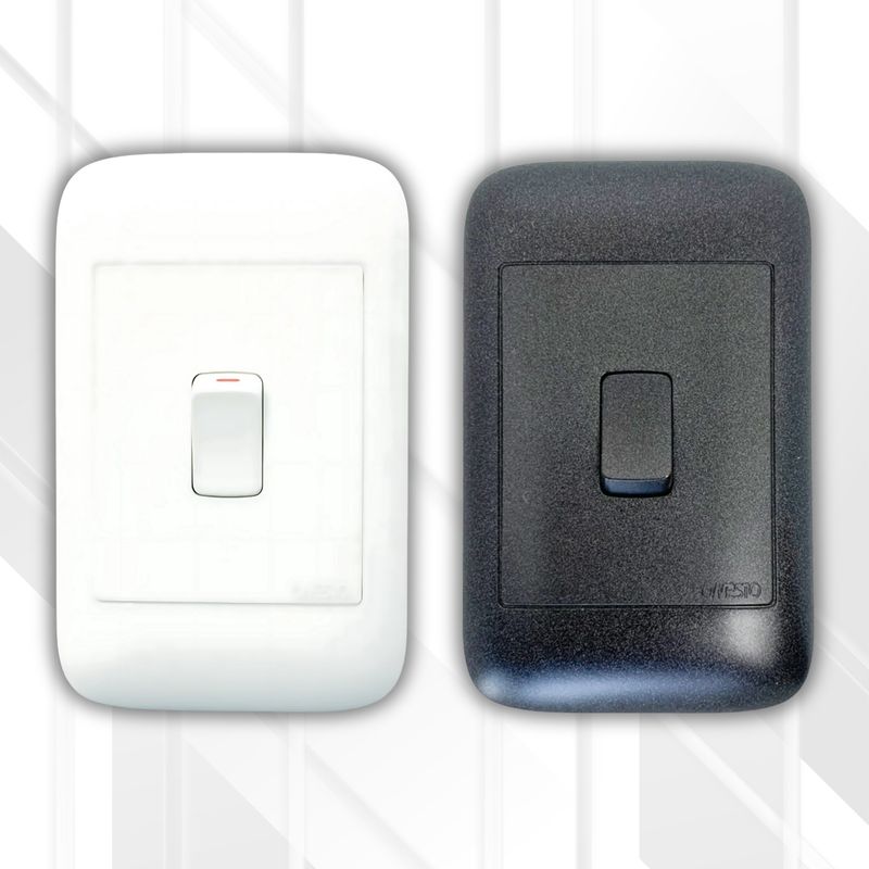 Onesto Isolator 20A 2P 4x2