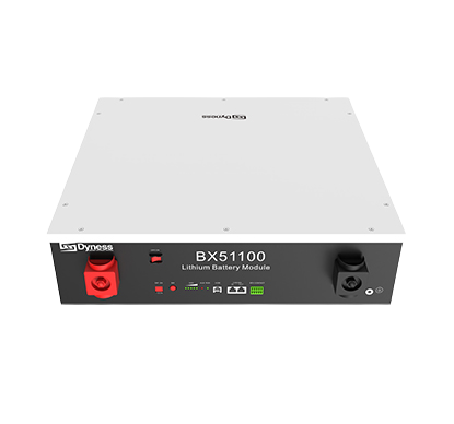 Dyness Battery Lithium Ion 5.12kWh 51.2V 100Ah