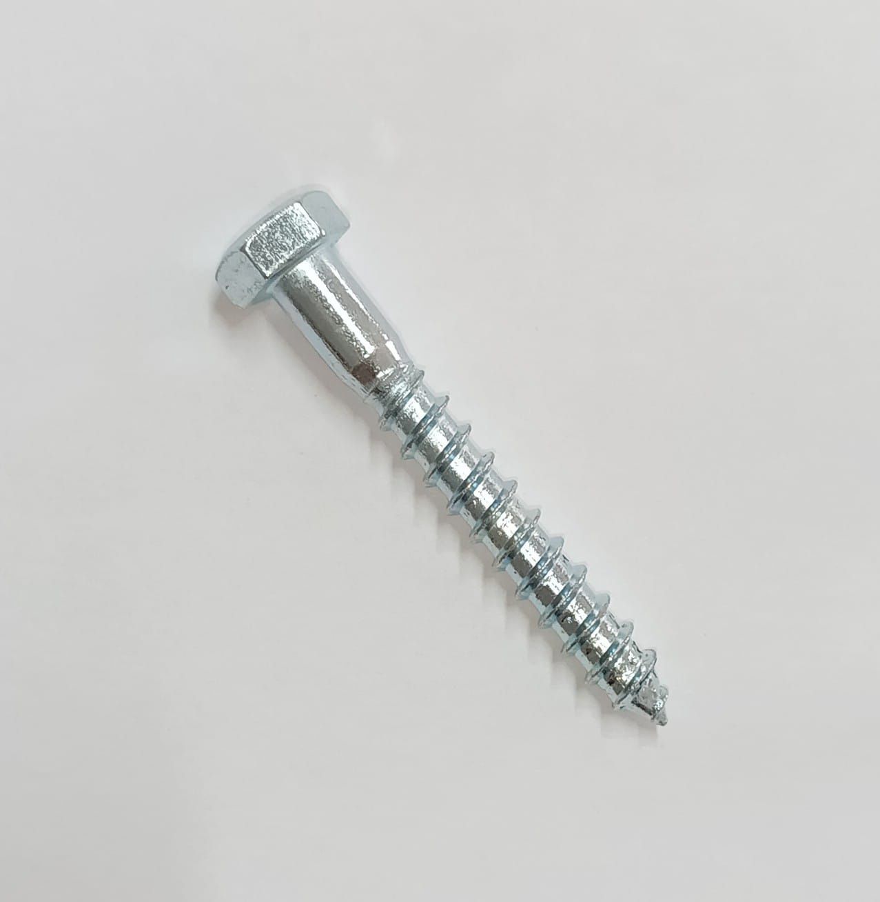8x60 COACH SCREW E/G