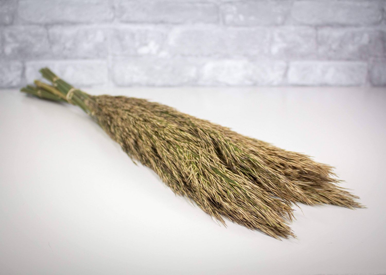 Sola Wood Flowers TPlume Reed - Natural Green
