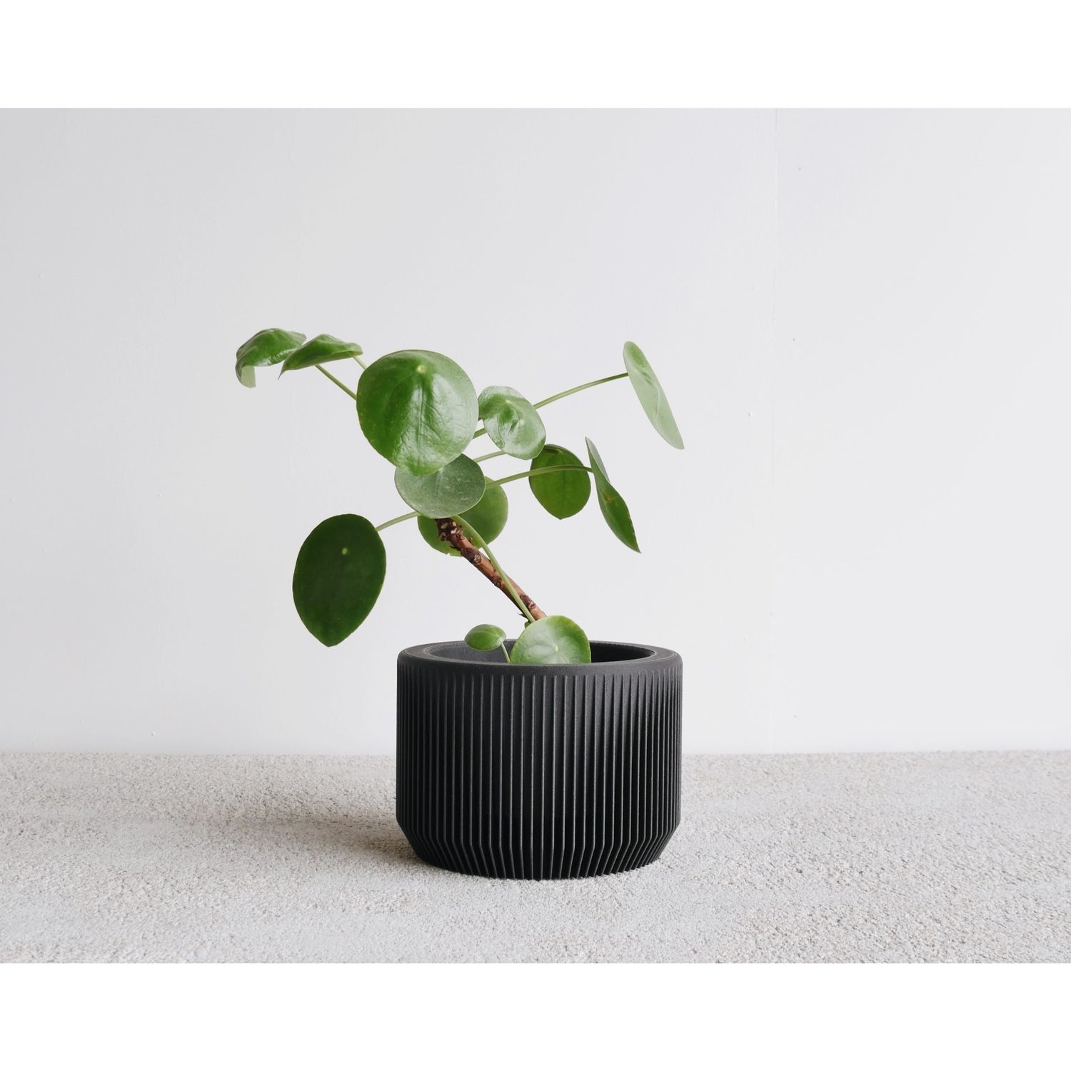 Minimum Design Praha Planter Black Medium