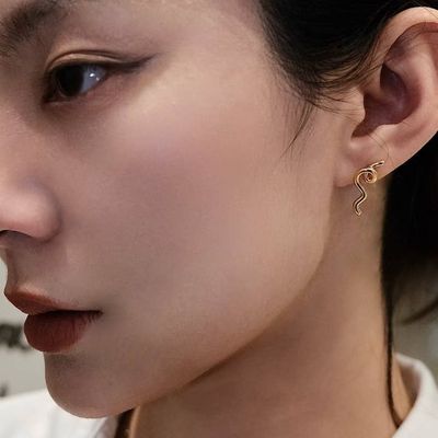 Squiggle Earrings