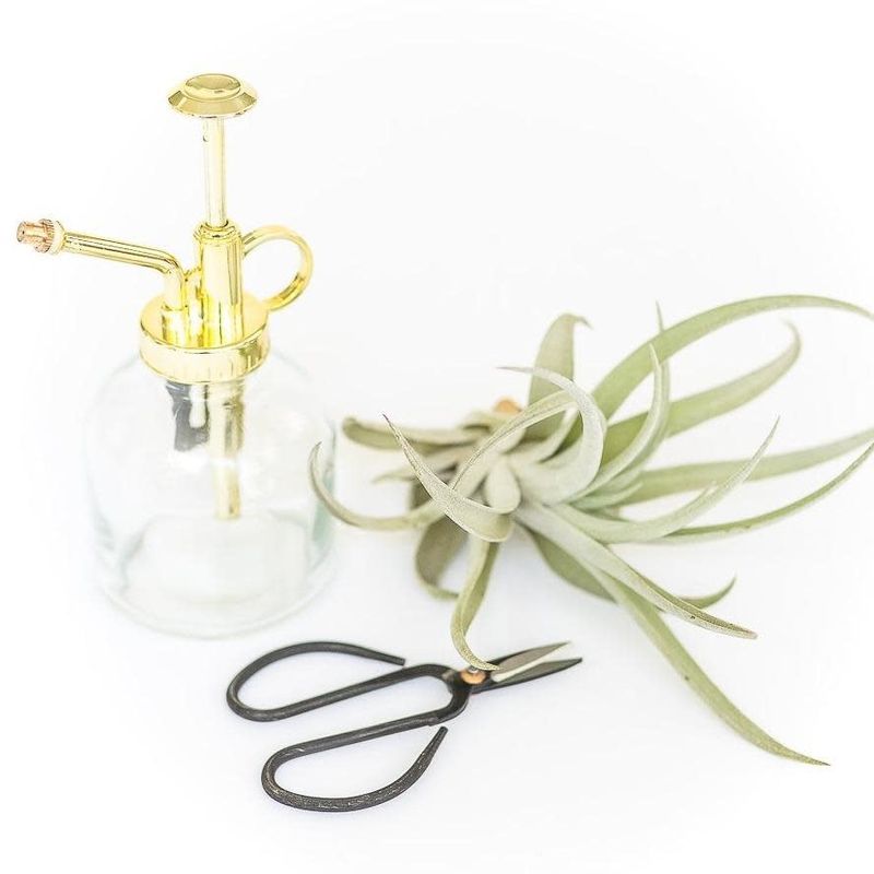 Airplant Supply Co Mister