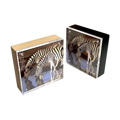 Wood Back Frame