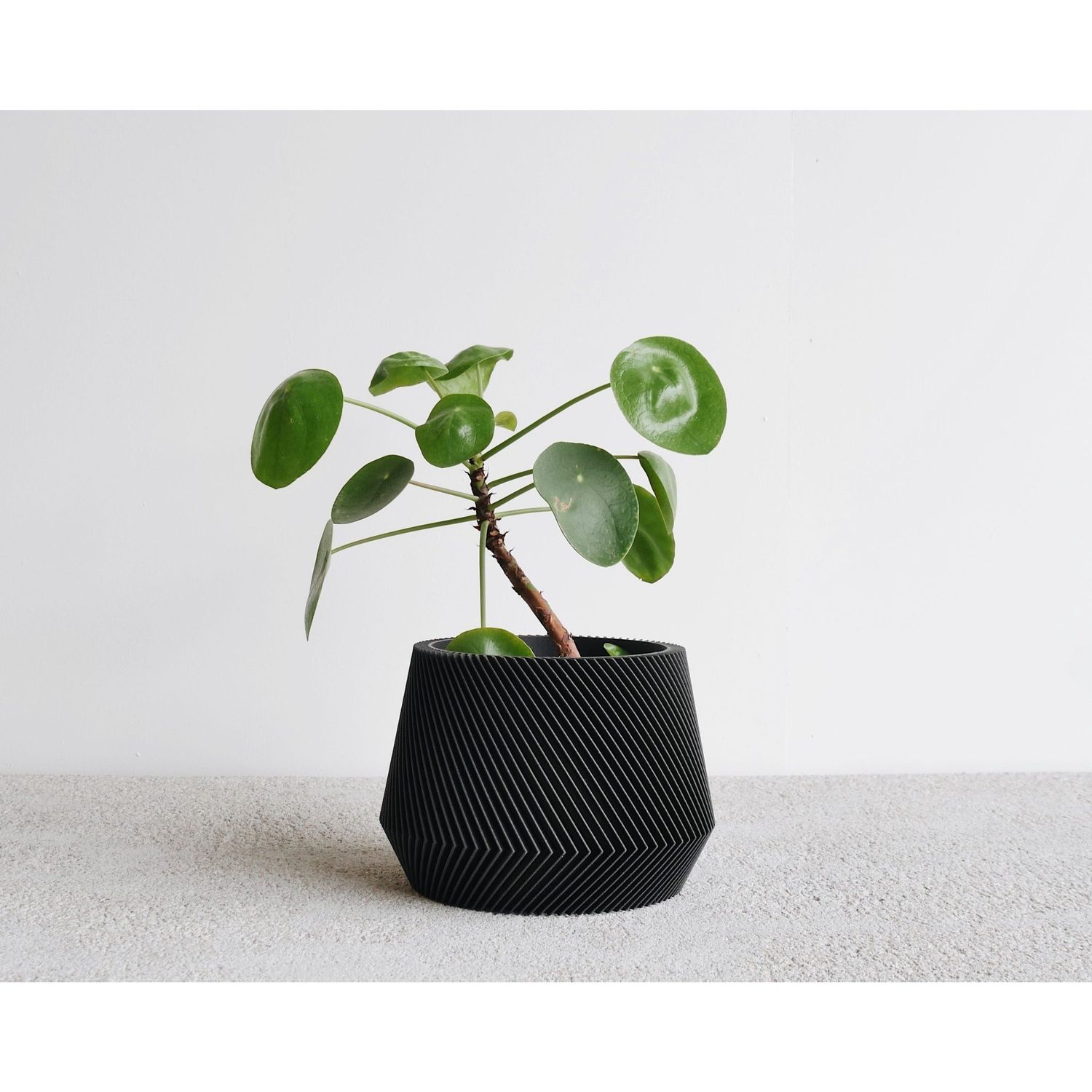 Minimum Design Oslo Indoor Planter Black L