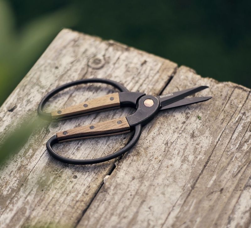 Walnut Garden Scissors Small