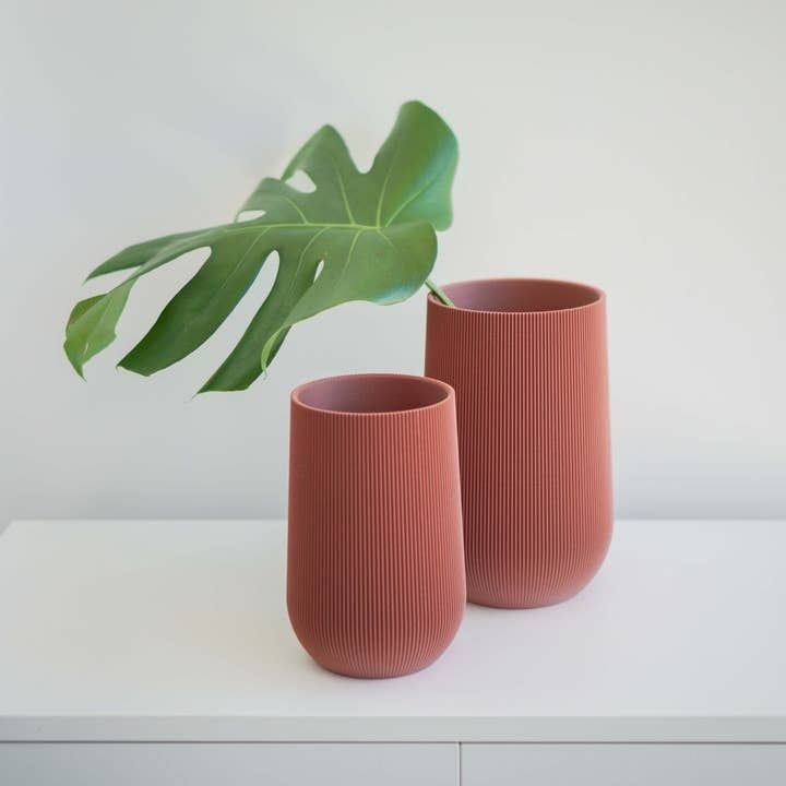 Conifer Sequoia Vase Salmon 
