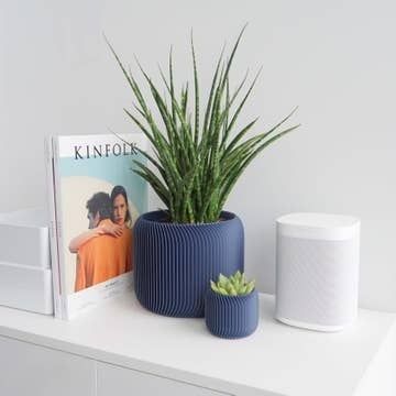 Conifer Pine Planter Midnight Blue