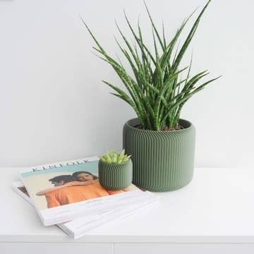 Conifer Pine Planter Olive Green