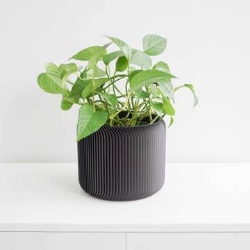 Conifer Pine Planter Black 