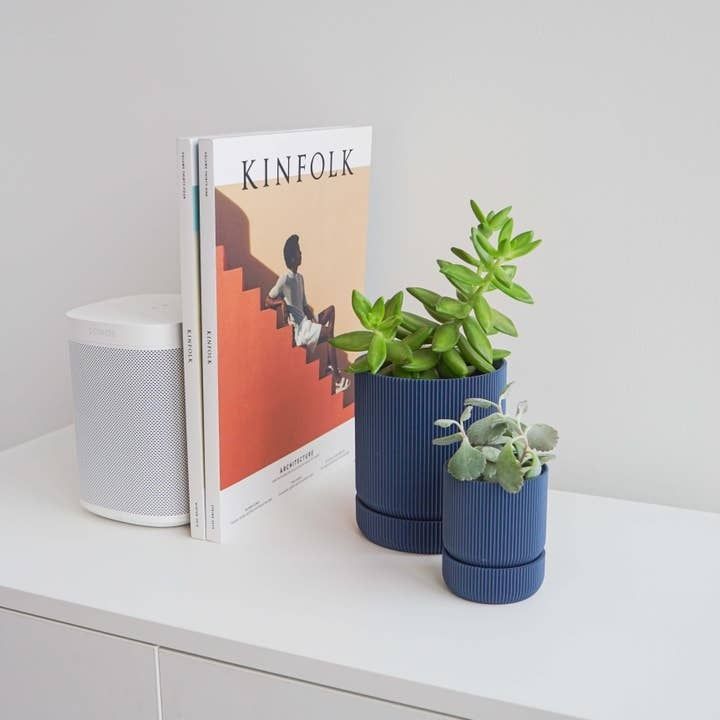 Conifer Hemlock Planter Midnight Blue
